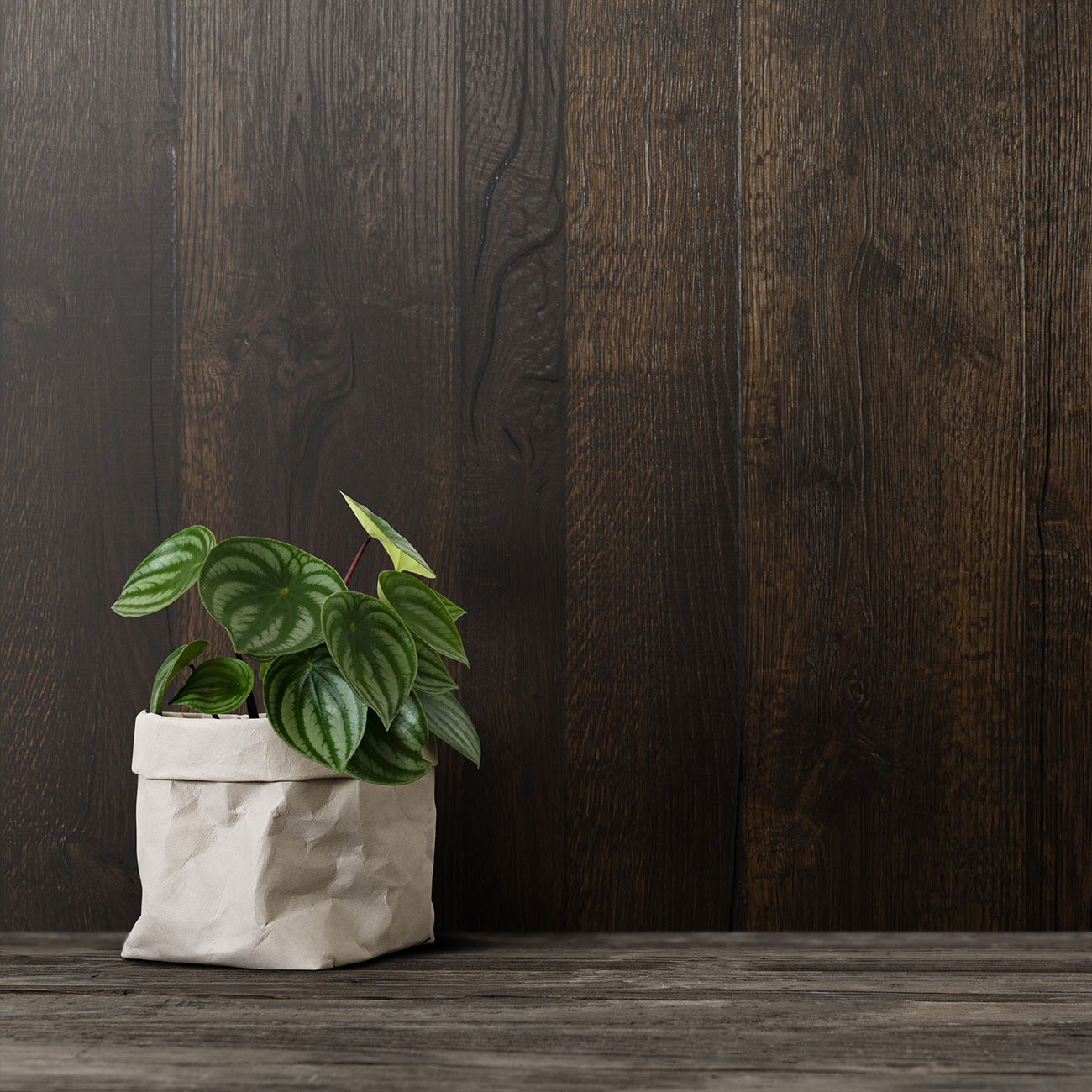 Aster Heath oak cladding panels from the Clad-it Collection.