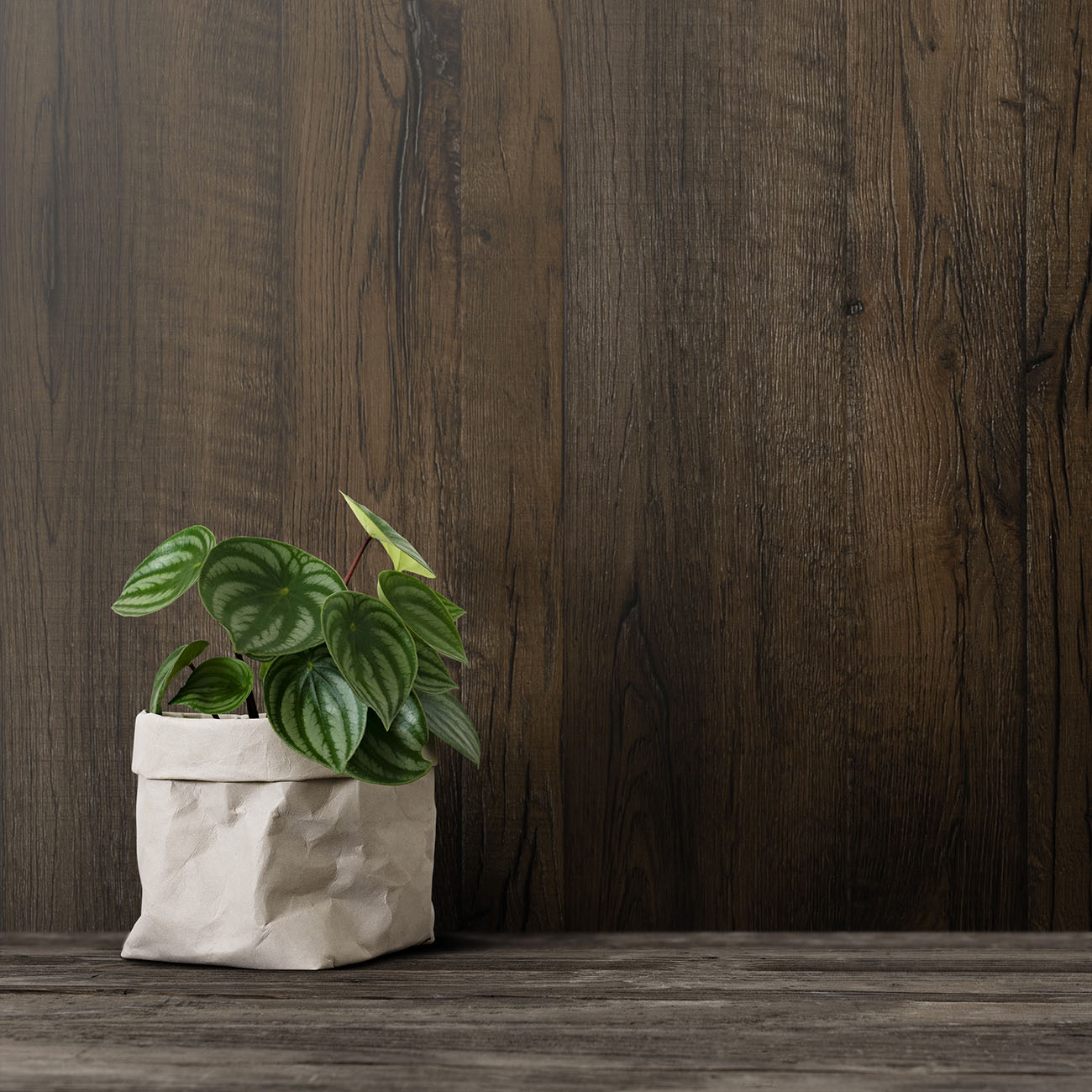 Watson Ridge oak cladding panels from the Clad-it Collection.